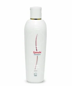 شامبو جانوزي dxn